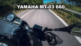 ECONOMICA FUNBIKE PER NEOFITI? YAMAHA MT 03 660 Test Ride