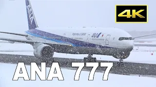 [4K] Snow scene - ANA Boeing 777-200/-300 at Sapporo New Chitose Airport in Japan / 新千歳空港 全日空