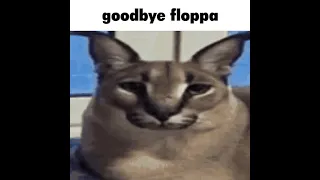 goodbye floppa