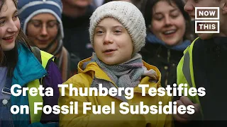 Greta Thunberg Testifies Before Congress on Earth Day