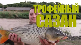 ТРОФЕЙНЫЙ САЗАН | ЛОВЛЮ САЗАНА на РЕКЕ!!!