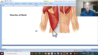 Musculo-skeletal Module I in Arabic 11 ( Latissimus Dorsi ) , by Dr. Wahdan 2022