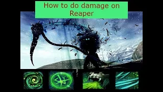 GW2 WvW Power Reaper Bomb Explained Step By Step