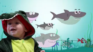 Акуленок (Baby Shark)-песенки для детей |Весёлый танец для детей| Мультики для детей