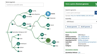 NCBI's Genome Data Viewer - Getting Started