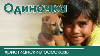 🐶ОЧЕНЬ ИНТЕРЕСНЫЙ РАССКАЗ «Одиночка» | Интересный христианский рассказ