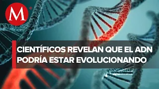 Investigaciones científicas revelan evolución en el ADN humano