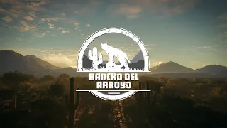 theHunter: Call of the Wild | Rancho del Arroyo OUT NOW - Full Trailer