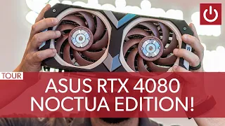 Another Asus X Noctua GPU Is Coming!!