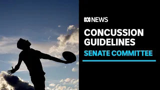 Concussion guidelines for contact sports recommended by Senate committee | ABC News