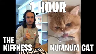 1 HOUR The Kiffness X NumNum Cat Live Looping Balkan Remix Singer Cat 1 HORA