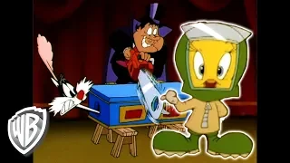 Looney Tunes en Français | Grosminet, l'Assistant du Magicien | WB Kids