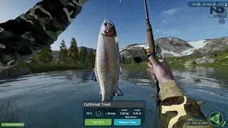 Ultimate Fishing Simulator #1 - LẦN ĐẦU TIÊN CÂU ĐƯỢC CÁ