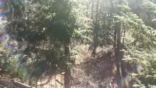 deer hunting with a nerf gun!