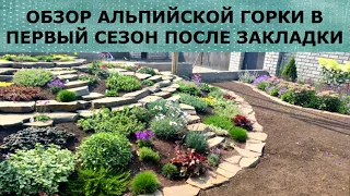 ОБЗОР АЛЬПИЙСКОЙ ГОРКИ В ПЕРВЫЙ СЕЗОН ПОСЛЕ  ОСЕННЕЙ ЗАКЛАДКИ.