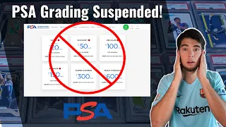 PSA Grading Services Suspended! Impact On The Market〡Sports Card Investing