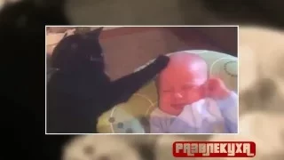 Приколы. Кот успокаивает малыша | Razvlekuha