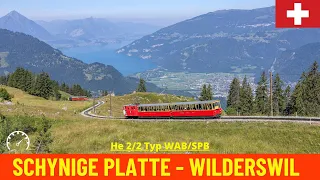 Cab Ride Schynige Platte - Wilderswil (Schynige Platte Railway, Switzerland) train driver's view 4K
