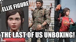 Ellie 1/6 Figure Review "The Last of Us" Unboxing CCTOYS Last Survivor Elli