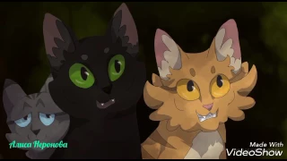 Коты воители Грач,Листвичка и Сумеречница/Cats Warriors Crowfeather,Leafpool and Nightcloub