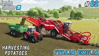 Field care, contract for plowing & harvesting potatoes | Italian Farm | Farming simulator 22 |  #03