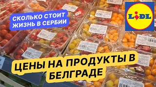 Что покупаю в Lidl в Белграде. Цены на продукты в супермаркете. Сколько стоит жить в  Сербии.