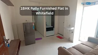 Family friendly 1 bhk fully furnished flat near ITPL | WHITEFIELD | Happy nest | RMS