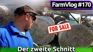 Vlog #170 Der zweite Schnitt | Pöttinger HIT 54 Ersteinsatz | Projekt Heuvermehrung