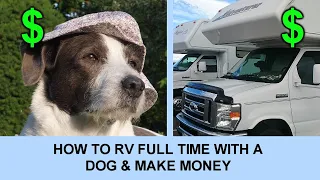 How to RV Full Time with a Dog & Make Money