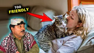 Tribal People Reaction Top 10 Friendliest Cat Breeds | Villagers First Time Reaction