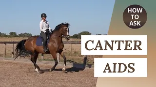 Canter Transitions - How To Ask For Canter