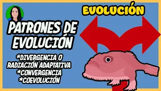 Patrones de evolución - Coevolución,  divergente y convergente | Evolución |