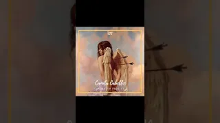Camila Cabello - Liar (Candra VIP Bootleg)