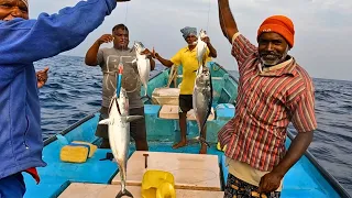 Deep sea fishing video | Fishing focus