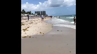 F-15 eagles performance at Fort Lauderdale air show 2022 Sunday