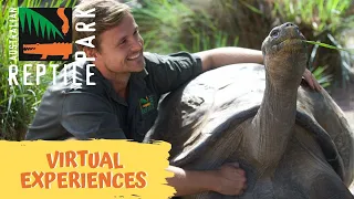 VISIT US VIRTUALLY! | The Australian Reptile Park