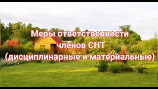 Материальная и дисциплинарная ответственность🏡N 217-ФЗ