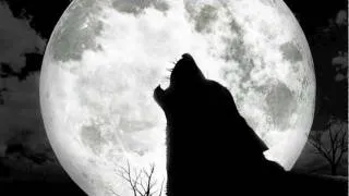 Wolves Howling At The Moon