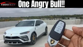 Driving The Fastest Production SUV ON EARTH!---2019 Lamborghini Urus Review