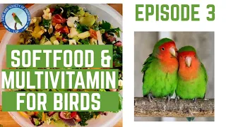 EPISODE 3. Softfood and Multivitamins for lovebirds.