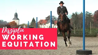 Das ist Working Equitation!