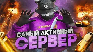 САМЫЙ ЖИВОЙ СЕРВЕР на ПРОЕКТЕ GTA5RP l БУДНИ СИЛЬНЕЙШЕЙ ЛИДЕРКИ BALLAS GANG l REDWOOD , GRAPESEED