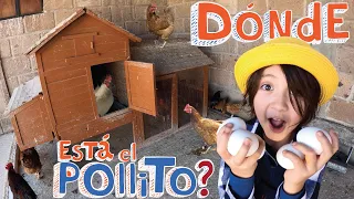 Donde está el POLLITO? Dia 2 en la GRANJA