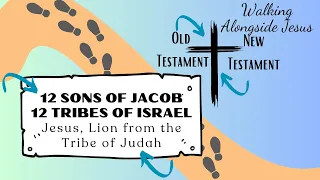 12 Sons of Jacob | 12 Tribes of Israel (Walking Alongside Jesus Curriculum Series)