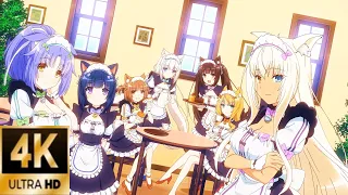 Nekopara OVA OP Ray「Baby→Lady LOVE」4K 60FPS