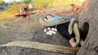 Terrified, 2 Giant Pythons Laying Eggs Captured A Young Girl For Food | Hunter Survival TV