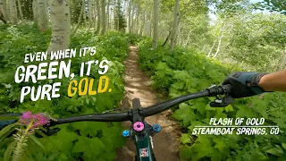 Stay Golden: Mountain Biking Flash of Gold in Steamboat Springs