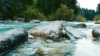 Rivière Apaisante | 3 Heures de Relaxation Naturelle 🌊🍃