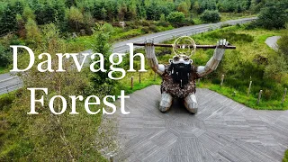 Davagh Forest | The Giant of Sperrins | County Tyrone | Ulster | Northern Ireland | United Kingdom