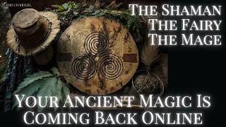 ANCIENT ONES:  A SHAMAN'S MSG A FAIRY & A MAGE 💫 TYING UP LOOSE ENDS FROM ALL YOUR INCARNATIONS NOW.